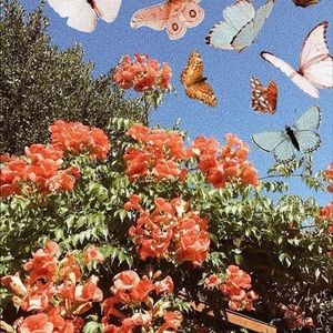 Meet your Posher, Jada